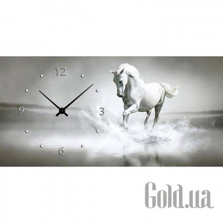 Настенные часы Настенные часы 21C-21-50x25-W