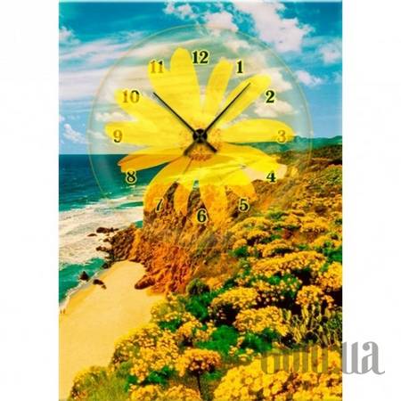 Настенные часы Настенные часы 1C-226-50x70-W