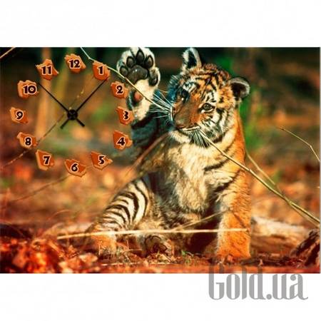 Настенные часы Настенные часы 1C-218-70x50-W