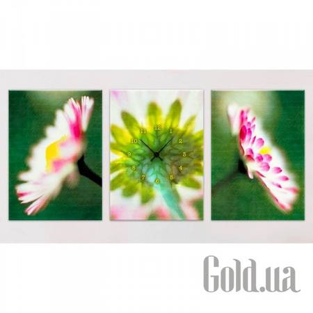 Настенные часы Настенные часы 1C-95-3p-W