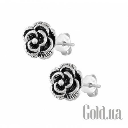 Серьги-гвоздики Серебряные серьги