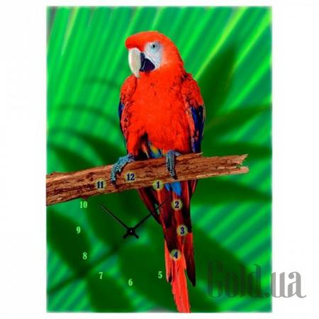 Настенные часы Настенные часы 3C-72-50x70-W