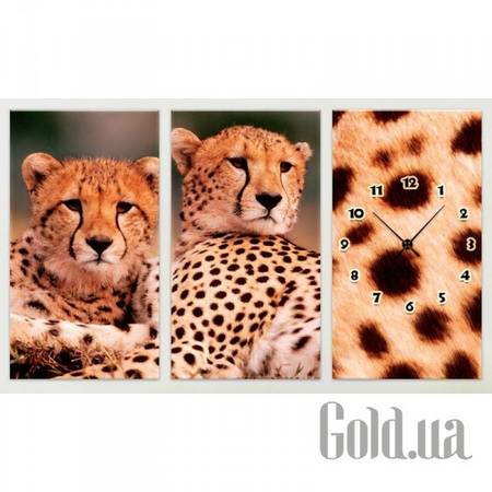 Настенные часы Настенные часы 1C-124-3p-W