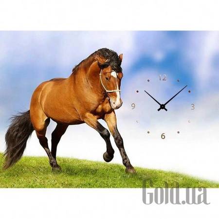 Настенные часы Настенные часы 21C-6-50x70-W