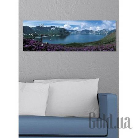 Настенные часы Настенные часы 3C-75-70x50-W