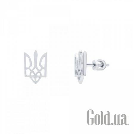 Серьги-гвоздики Серебряные серьги