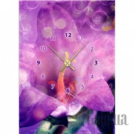 Настенные часы Настенные часы 1C-73-50x70-W