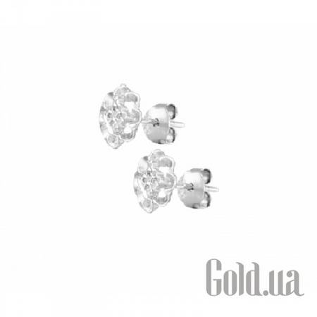 Серьги-гвоздики Серебряные серьги