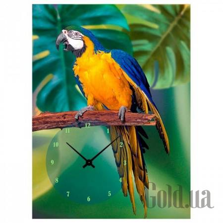 Настенные часы Настенные часы 3C-68-50x70-W