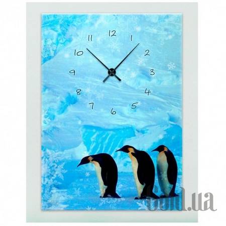 Настенные часы Настенные часы 1C-179-50x70-W