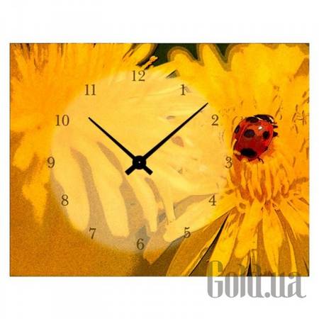 Настенные часы Настенные часы 3C-4-30x40-W