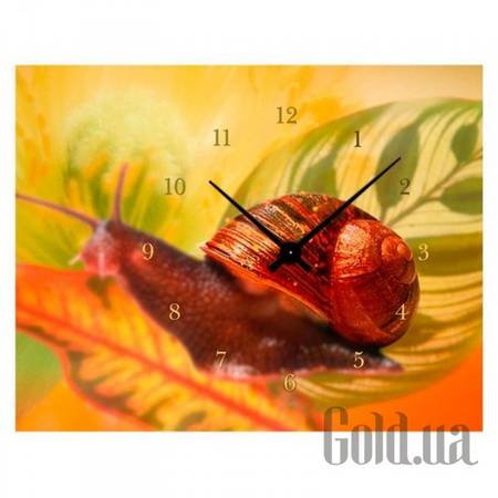 Настенные часы Настенные часы 3C-1-30x40-W