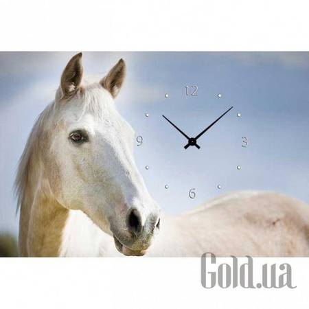 Настенные часы Настенные часы 21C-8-60x40-W