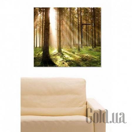 Настенные часы Настенные часы W-S-4045-C01-00020-T