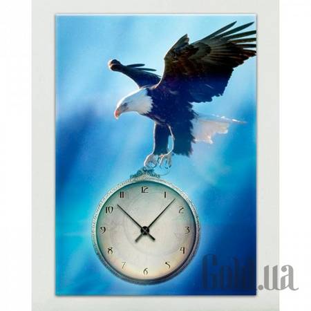 Настенные часы Настенные часы 1C-176-50x70-W