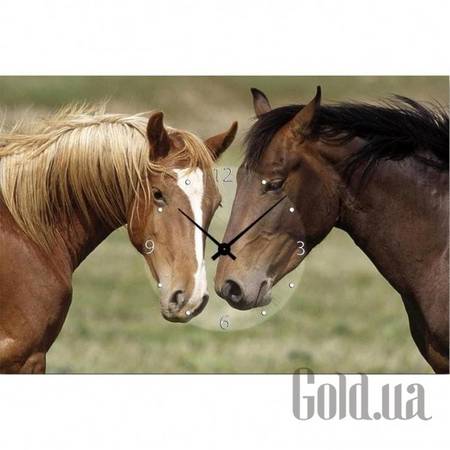 Настенные часы Настенные часы 21C-15-40x60-W