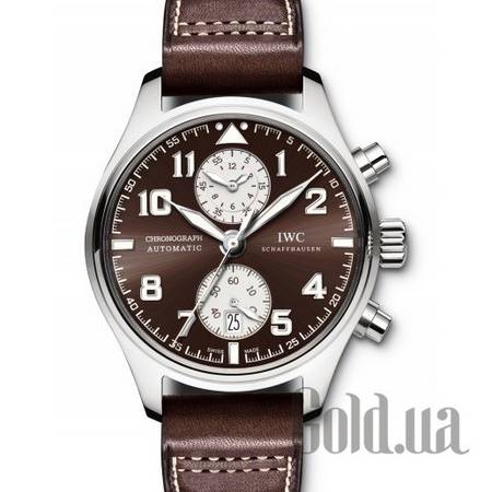 Швейцарские часы Pilot's Watch IW387806