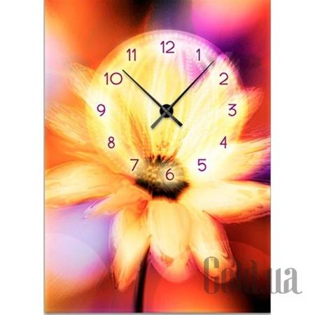 Настенные часы Настенные часы 1C-48-50x70-W