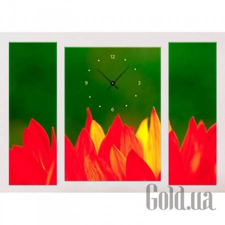 Настенные часы Настенные часы 1C-46-3p-W