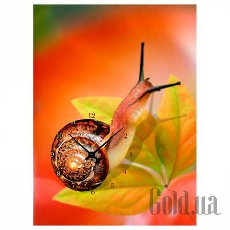 Настенные часы Настенные часы 3C-24-50x70-W