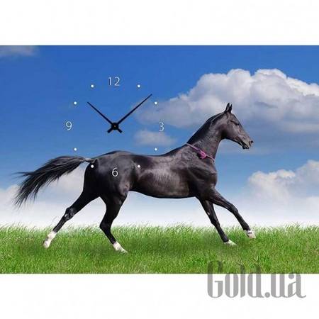 Настенные часы Настенные часы 21C-5-50x70-W