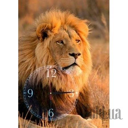 Настенные часы Настенные часы 24C-4-40x60-W