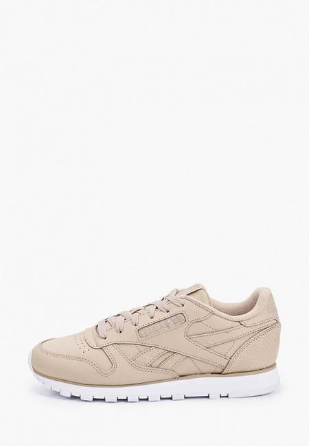 Кроссовки Кроссовки Reebok Classic