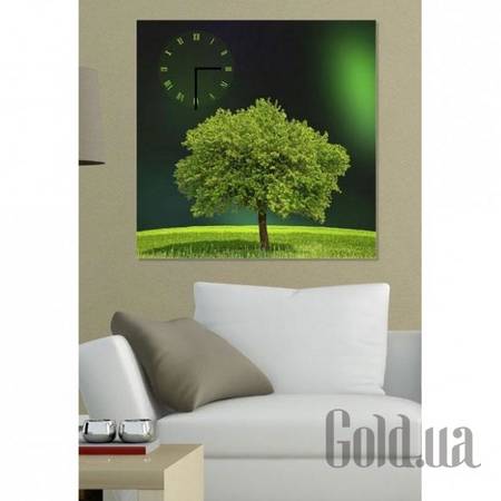 Настенные часы Настенные часы W-S-6060-C01-00019-T