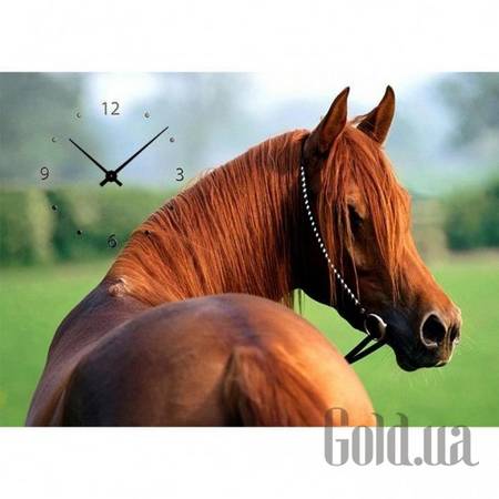 Настенные часы Настенные часы 21C-11-50x70-W