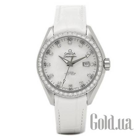 Швейцарские часы Женские часы Seamaster 231.18.34.20.55.001