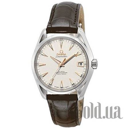 Швейцарские часы Мужские часы Seamaster 231.13.39.21.02.002