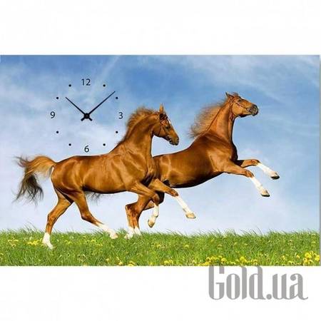 Настенные часы Настенные часы 21C-7-60x40-W