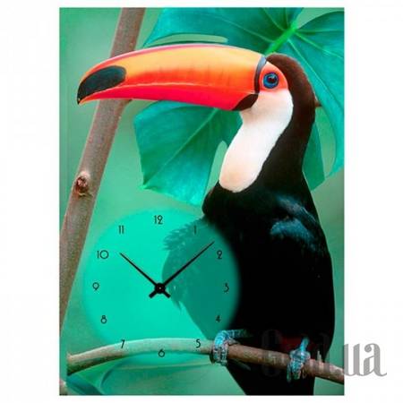 Настенные часы Настенные часы 3C-67-50x70-W