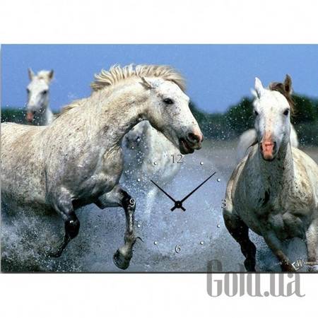 Настенные часы Настенные часы 21C-18-50x70-W