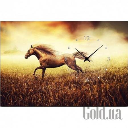 Настенные часы Настенные часы 21C-16-40x60-W