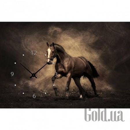 Настенные часы Настенные часы 21C-17-40x60-W