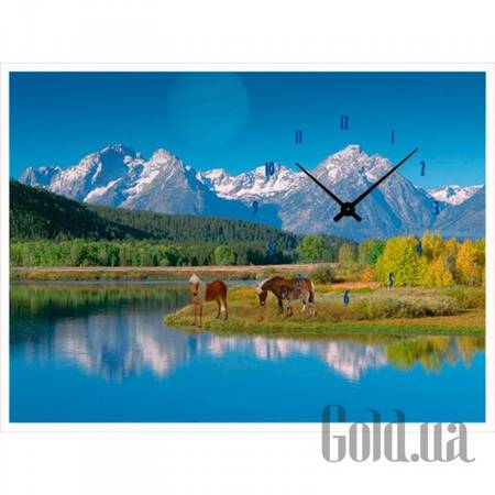 Настенные часы Настенные часы 3C-77-70x50-W