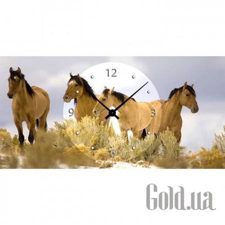 Настенные часы Настенные часы 21C-14-50x25-W