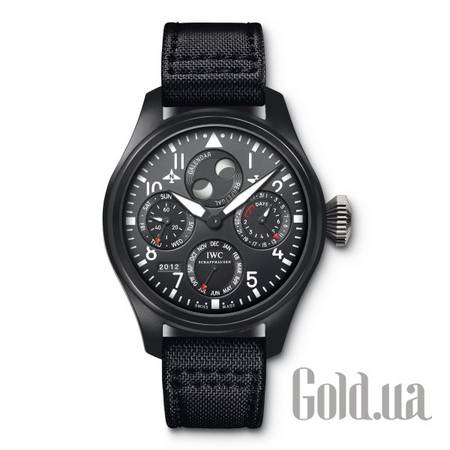 Швейцарские часы Pilot's Watch IW502902