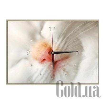 Настенные часы Настенные часы 24C-1-30x45-W