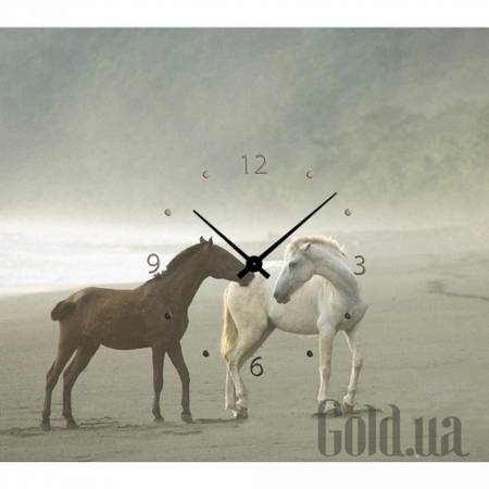 Настенные часы Настенные часы 21C-20-45x40-W